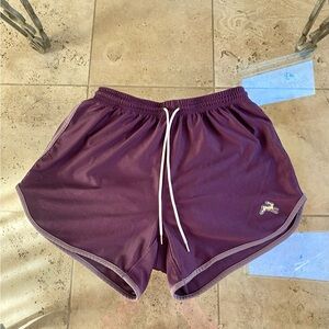 Tracksmith shorts